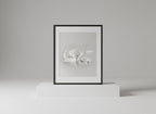 Elegant Black & White Swan Lake Framed Art Print