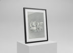 Elegant Black & White Swan Lake Framed Art Print