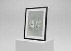 Elegant Black & White Swan Lake Framed Art Print