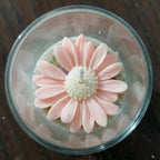 Blush Daisy Designer Glass Candle | Soy Wax Scented Candle – Achyuti Decor