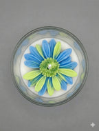 Ocean Bloom Daisy Designer Glass Candle – Premium Soy Wax Scented Candle for Home Décor & Gifting